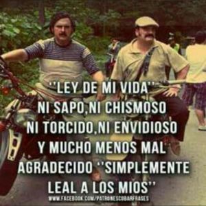 Meet your Posher, Jose